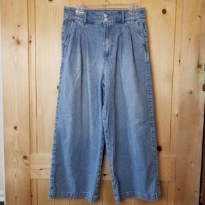Madewell Denim Pleated High Rise Wide Leg Trouser Jeans